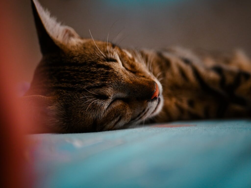 Rustig de nacht in met meditatie slapen